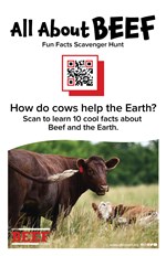 Beef QR Hunt