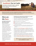 Antibiotic Use