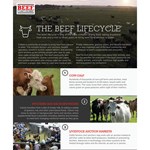 Beef lifecycle icon
