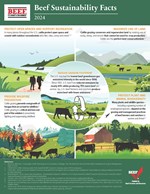 24 Sustainability Facts