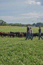 Farmer Profiles