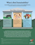 SustainablityPillars